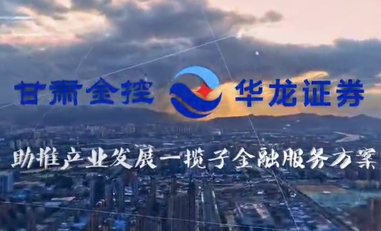 星空（中国）助推产业发展一揽子金融服务方案汇报片